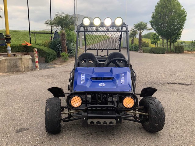 Buggy - quad - 2016 - afbeelding 1 van  16