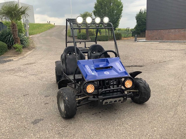 Buggy - quad - 2016 - afbeelding 2 van  16
