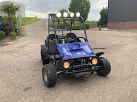 Buggy - quad - 2016 - afbeelding 2 van  16