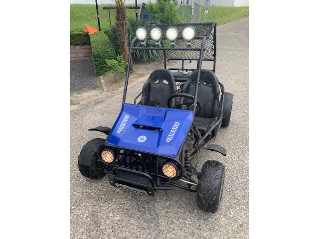 Buggy - quad - 2016 - afbeelding 3 van  16
