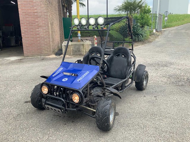 Buggy - quad - 2016 - afbeelding 4 van  16