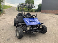 Buggy - quad - 2016 - afbeelding 5 van  16
