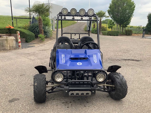 Buggy - quad - 2016 - afbeelding 7 van  16