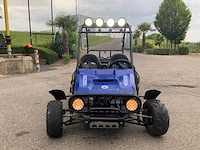 Buggy - quad - 2016