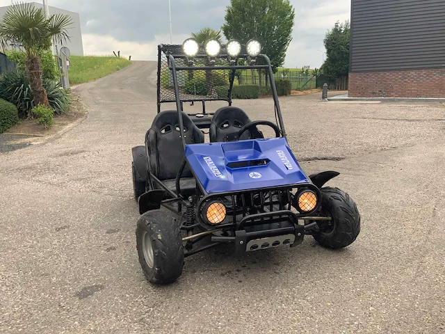 Buggy - quad - 2016 - afbeelding 11 van  16