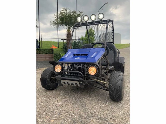 Buggy - quad - 2016 - afbeelding 8 van  16