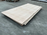Buigbaar triplex (6x) - afbeelding 1 van  4