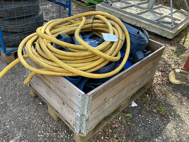 Buis, slang en divers - afbeelding 1 van  4