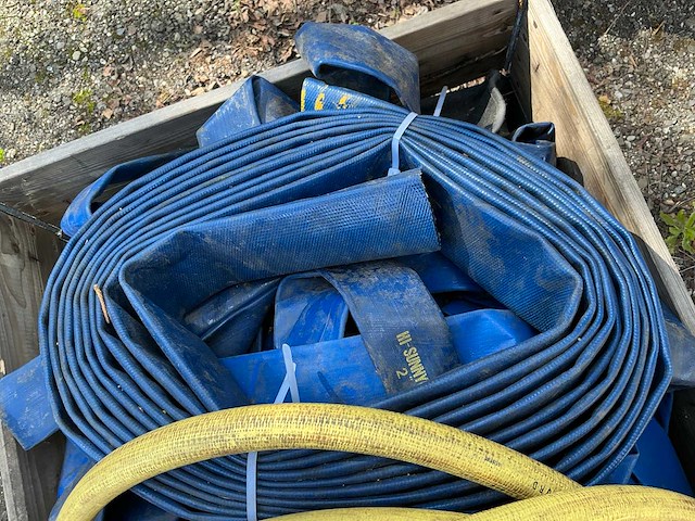 Buis, slang en divers - afbeelding 3 van  4