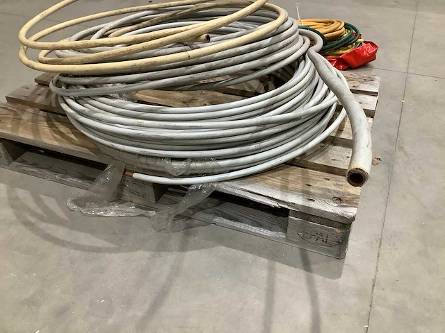 Buis - afbeelding 3 van  7