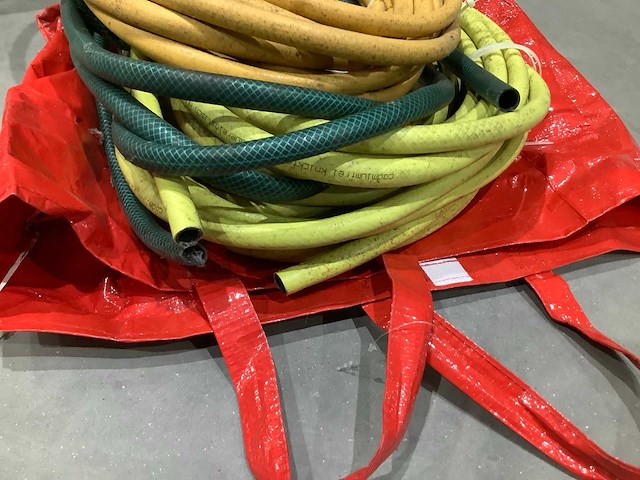 Buis - afbeelding 6 van  7