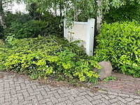 Buitenbord - afbeelding 7 van  7