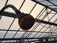 Buitendouche g.f. - afbeelding 4 van  8