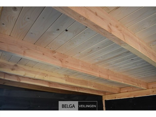 Buitenverblijf met berging douglas afm 300x400cm, 700x400x245x230cm - afbeelding 5 van  6