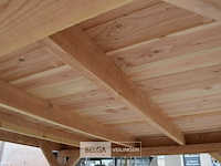 Buitenverblijf overkapping douglas 500x300cm hoogte 245cm - afbeelding 4 van  5