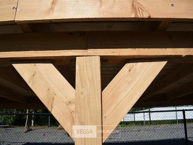 Buitenverblijf overkapping douglas afm 600x400cm hoogte 245cm - afbeelding 7 van  7