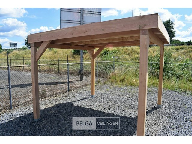Buitenverblijf overkapping douglas met achter wand 300x300cm hoogte 245cm - afbeelding 1 van  7