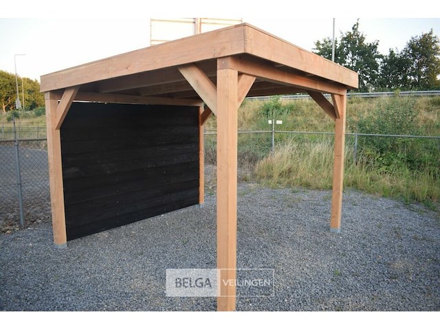 Buitenverblijf overkapping douglas met achter wand afm 300x300cm hoogte 245cm - afbeelding 3 van  9