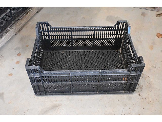 Bulbfustbv / ringoplast kunststof fruitkratten (340x) - afbeelding 2 van  6