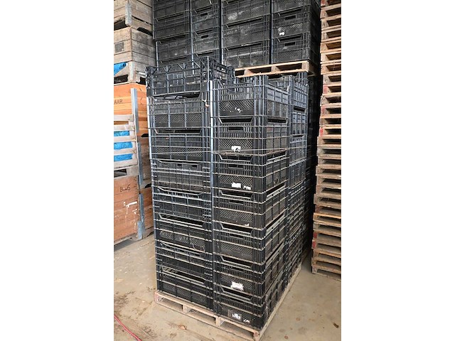 Bulbfustbv / ringoplast kunststof fruitkratten (340x) - afbeelding 3 van  6