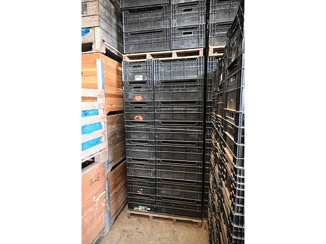 Bulbfustbv / ringoplast kunststof fruitkratten (340x) - afbeelding 4 van  6