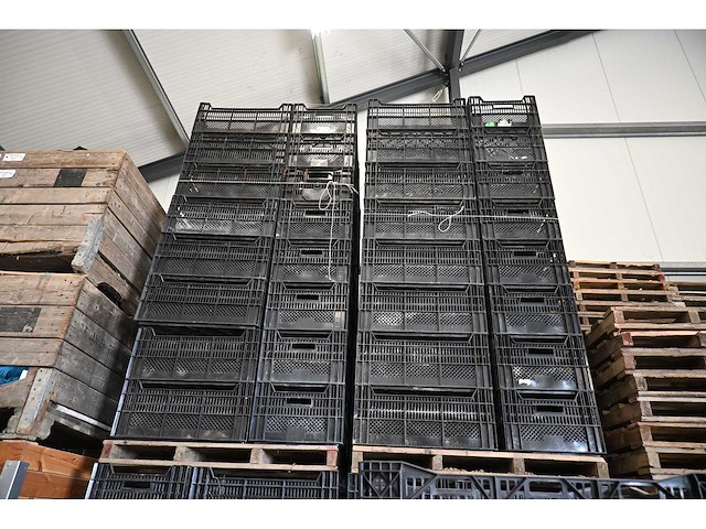 Bulbfustbv / ringoplast kunststof fruitkratten (340x) - afbeelding 5 van  6