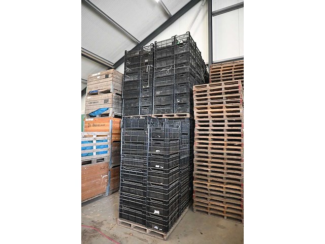 Bulbfustbv / ringoplast kunststof fruitkratten (340x) - afbeelding 6 van  6
