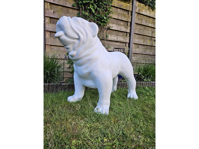 Bulldog, polyester, decoratief - afbeelding 1 van  3