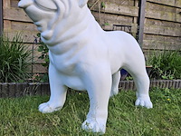 Bulldog, polyester, decoratief - afbeelding 1 van  3