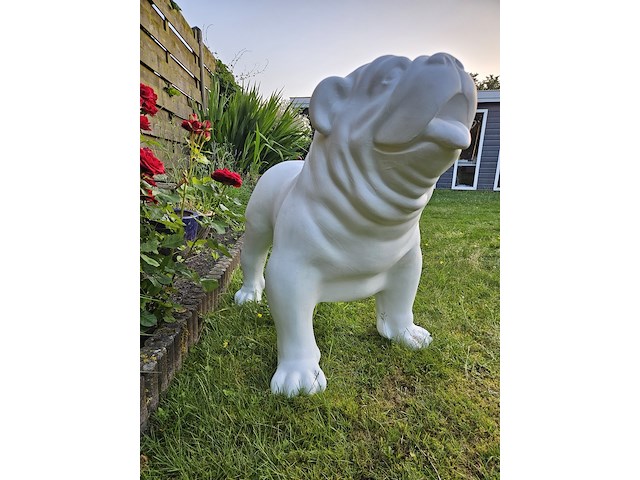 Bulldog, polyester, decoratief - afbeelding 2 van  3
