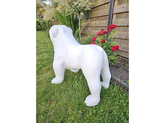 Bulldog, polyester, decoratief - afbeelding 3 van  3