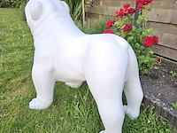 Bulldog, polyester, decoratief - afbeelding 3 van  3