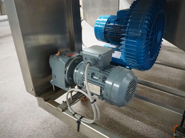 Bulldog - afbeelding 4 van  16