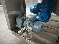 Bulldog - afbeelding 4 van  16