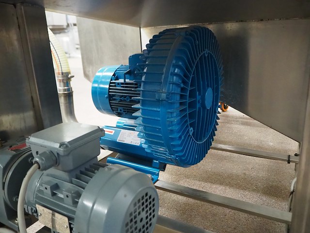 Bulldog - afbeelding 5 van  16