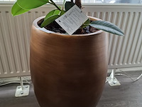 Bureau met bureaustoel en ladeblok - afbeelding 2 van  11