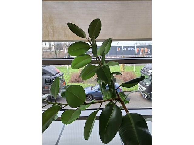 Bureau met bureaustoel en ladeblok - afbeelding 3 van  11