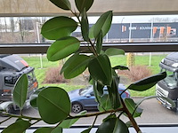 Bureau met bureaustoel en ladeblok - afbeelding 3 van  11