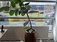 Bureau met bureaustoel en ladeblok - afbeelding 11 van  11