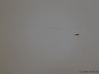 Bureautafels -2 stuks - afbeelding 3 van  3