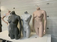 Buste (5x) - afbeelding 3 van  4