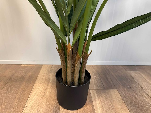 Butterfly palm kunstplant (180cm hoog) - afbeelding 9 van  14