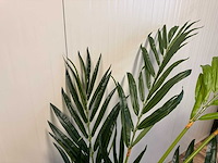 Butterfly palm kunstplant (180cm hoog) - afbeelding 2 van  14