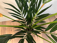 Butterfly palm kunstplant (180cm hoog) - afbeelding 11 van  14