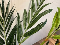 Butterfly palm kunstplant (180cm hoog) - afbeelding 2 van  12