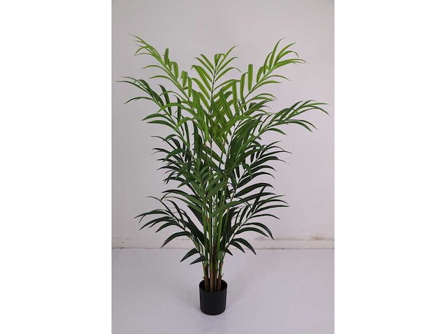 Butterfly palm kunstplant (180cm hoog) - afbeelding 6 van  12