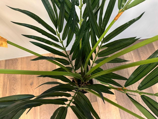 Butterfly palm kunstplant (180cm hoog) - afbeelding 10 van  12