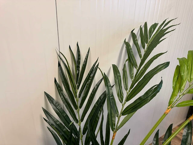 Butterfly palm kunstplant (180cm hoog) - afbeelding 2 van  14