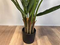 Butterfly palm kunstplant (180cm hoog) - afbeelding 5 van  14