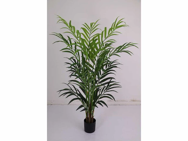 Butterfly palm kunstplant (180cm hoog) - afbeelding 7 van  14